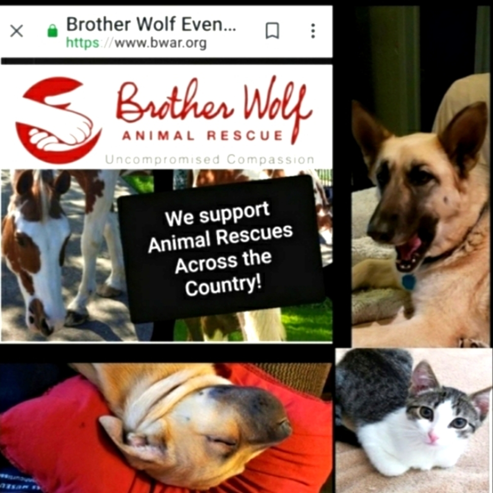 Rescue Updates... - Picture 2 of 13